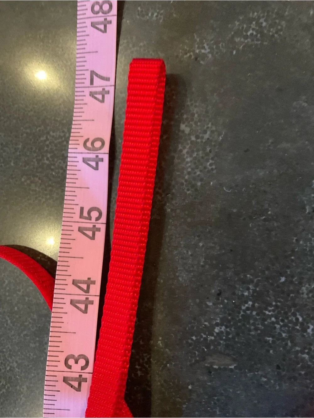 Bright Red Nylon Cat Harness and Leash Set